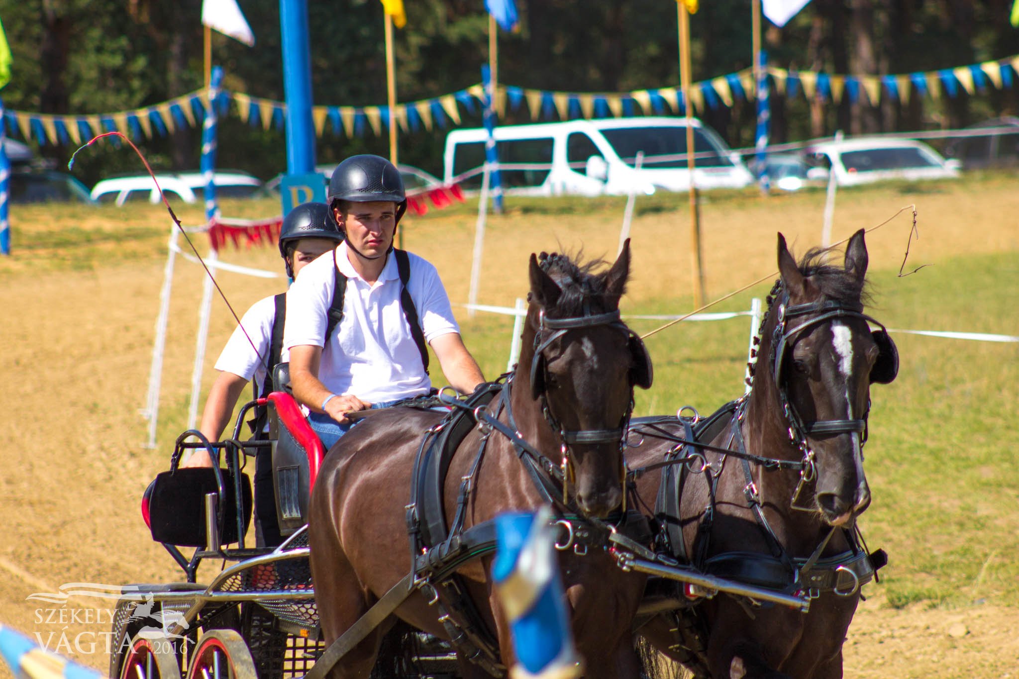 Orosz László nyerte a fogathajtó versenyt